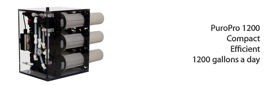 slider3transparent